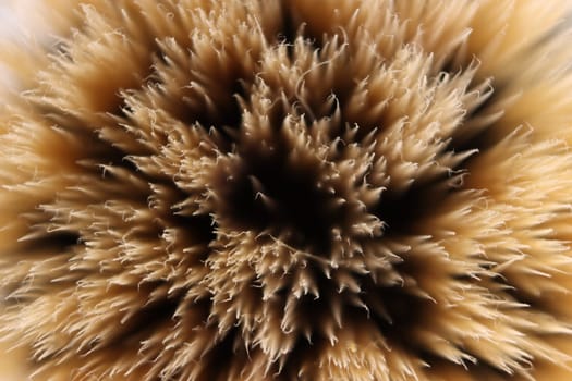 Brush makeup brush to paint the face beauty macro