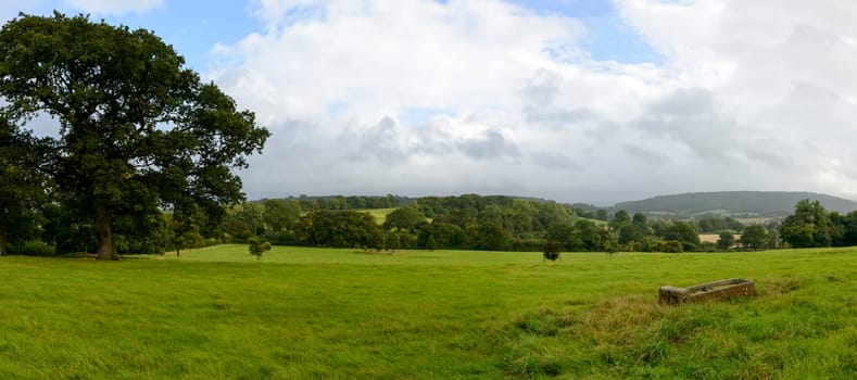 landscape with  grass fields of hilly Dorset countryside.