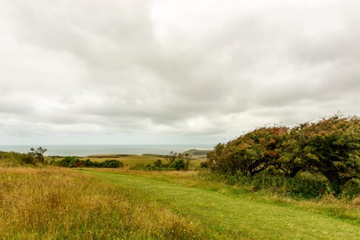 landscape with fields and hedges on green Downs countryside with sea in distance,  shot under bright cloudy sky near Eastbourne, East Sussex .