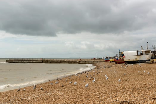view of seagulls and old fish boats aground on shingle beach at historic village of Hastings, East Sussex .