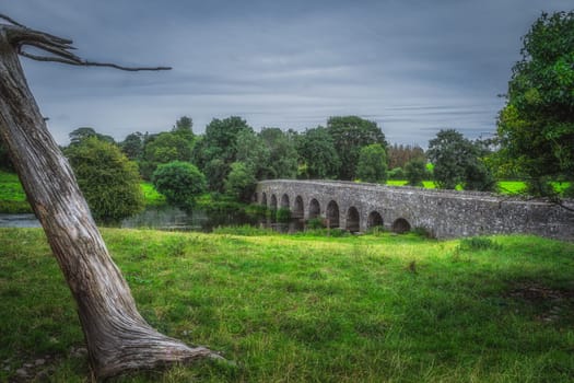 Old, 12th century stone arch Bective Bridge over Boyne River with large tree trunk surrounded by green fields and forest, Count Meath, Ireland
