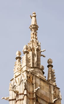 Siena Cathedral, dedicated to the Assumption of the Blessed Virgin Mary .Siena. Italy
