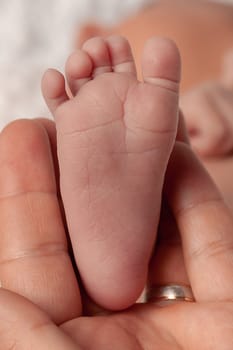 Baby feet into mothers hands. Happy Family concept. Beautiful conceptual image of Maternity. High quality photo.