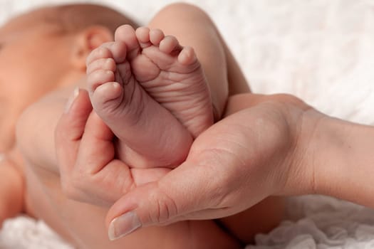 Baby feet into mothers hands. Happy Family concept. Beautiful conceptual image of Maternity. High quality photo.