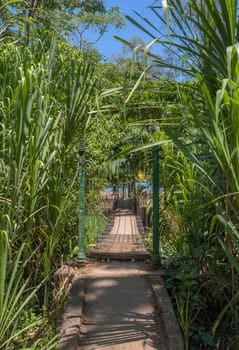 Suspended bridge at natural rainforest park, Drake Bay Costa Rica