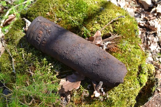 Rusty artillery whizzbang of the World War 2 in thicket forest of Belarus close up