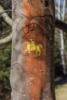 in the forest - wood