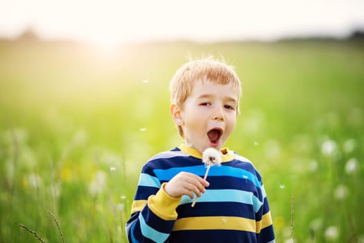 Happy boy standing in grass on the field with dandelions at sunny summer evening. Child outdoors in nature