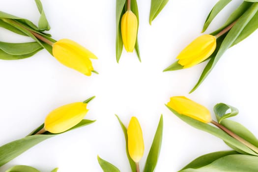 Flat lay with yellow tulip flowers on white background. Concept for greeting card for Easter, Mother's day, International women's day, Saint Valentine's day. High quality photo