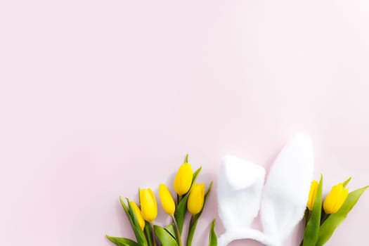 Easter concept. Flat lay with white fluffy rabbit ears, yellow tulips on a pink background. High quality photo