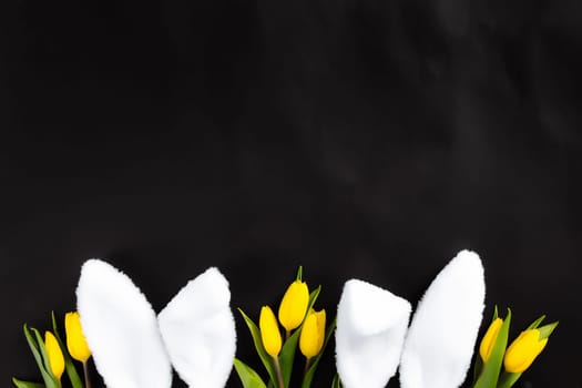 Easter concept. Flat lay with white fluffy rabbit ears, yellow tulips on a black background. High quality photo