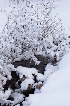Winter stream flowing among the snow-covered bushes. Nature, landscape, environment.