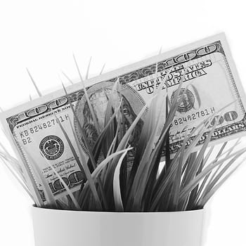 Cash out a hundred American bills in the grass isolated on a white background.