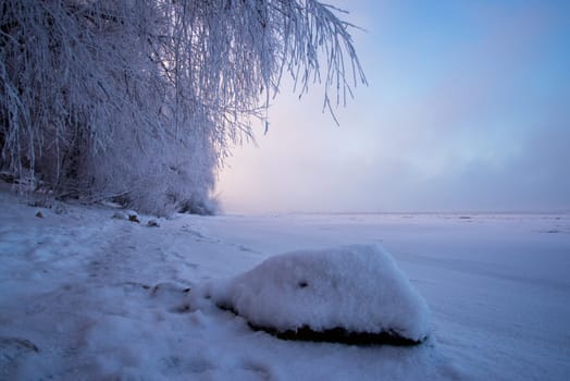 Winter landscape at dawn, the bank of a frozen river. Hanging tree branches, beautiful sky, big rock.