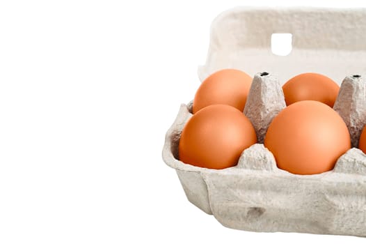 Brown eggs in a cardboard box. Isolated on a white background. Layout, layout, space for logo and text.