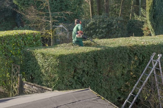 Man gardening with hedge trimmers.