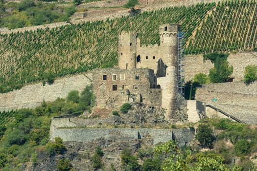 Ruine der Burg Ehrenfels, Rüdesheim am Rhein, Rheingau, Hessen, Deutschland