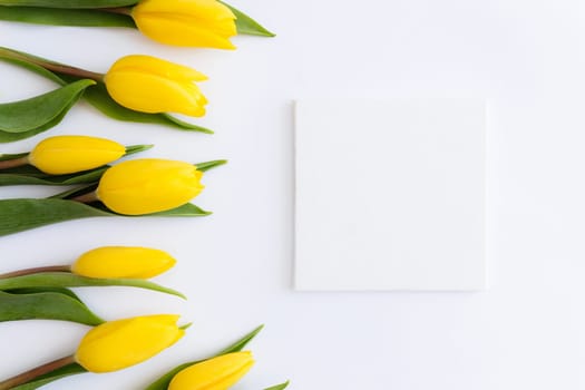 Flat lay with yellow tulip flowers, empty picture frame on white background. Concept for greeting card for Easter, Mother's day, International women's day, Saint Valentine's day. High quality photo