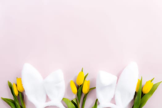 Easter concept. Flat lay with white fluffy rabbit ears, yellow tulips on a pink background. High quality photo