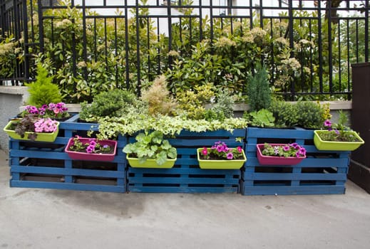Greening of cities. Flower planters in town (Paris France)