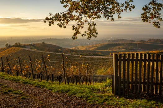 Goldene Herbstlandschaft