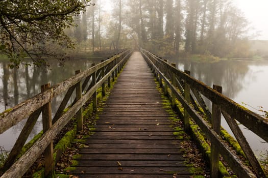 wooden bridge with handrail in autumn
