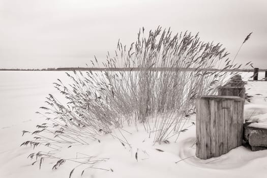 Winter on Fischland-Darß, frozen and snow-covered Saaler Bodden