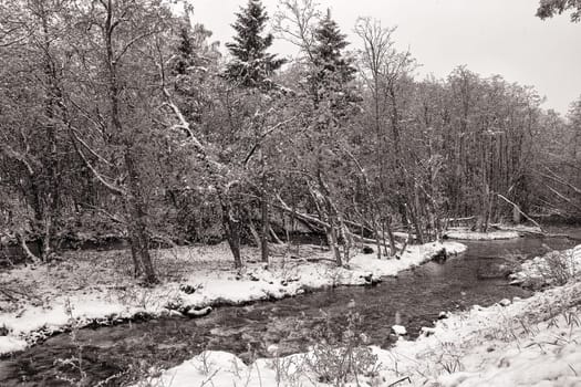 Brook during snowfall in spring, Norway