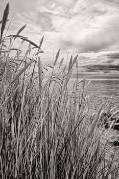 Greifswalder Bodden near Thiessow, Mönchgut, Ruegen island