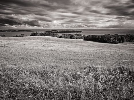 landscape near Groß Zicker, Ruegen island, Germany