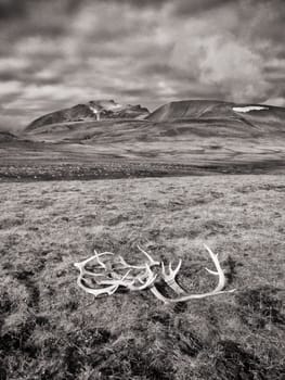Svalbard, landscape on the western bank of the Grønfjord