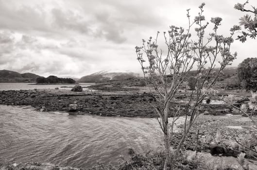 Kvernesfjord near Vevang, Norwegen