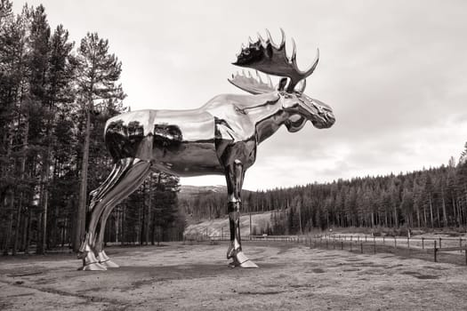 Giant moose made of polished steel, Østerdalen, Norway, Bjøråa rest area at road 3
