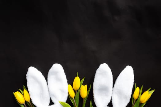 Easter concept. Flat lay with white fluffy rabbit ears, yellow tulips on a black background. High quality photo
