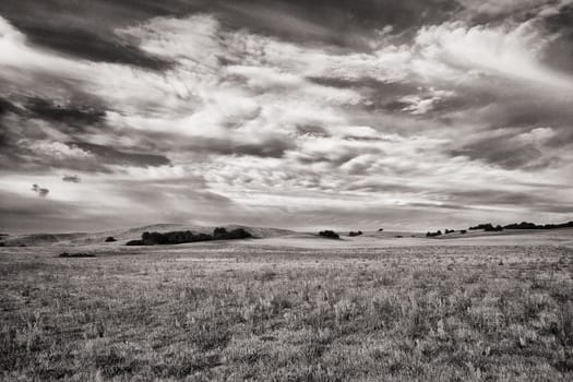 landscape near Groß Zicker, Ruegen Island on the Greifswalder Bodden, Germany