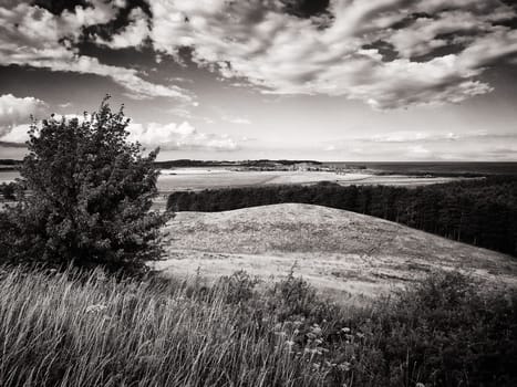 Mönchguter Boddenlandschaft bei Groß Zicker, Insel Rügen am Greifswalder Bodden