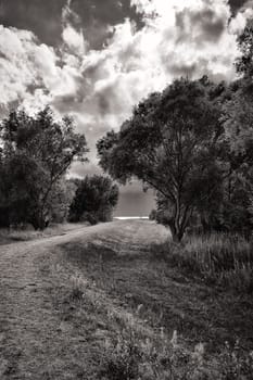 landscape near Groß Zicker, Ruegen island