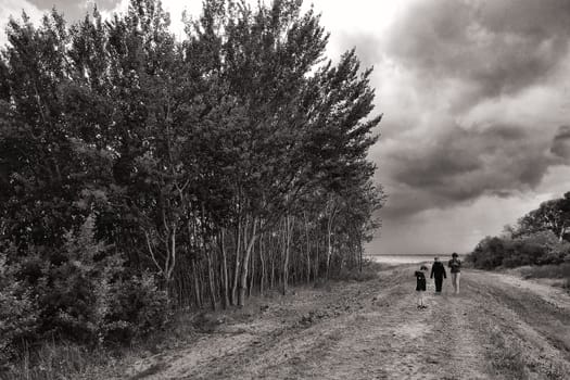 landscape near Groß Zicker, Ruegen island