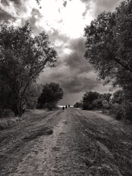 landscape near Groß Zicker, Ruegen island