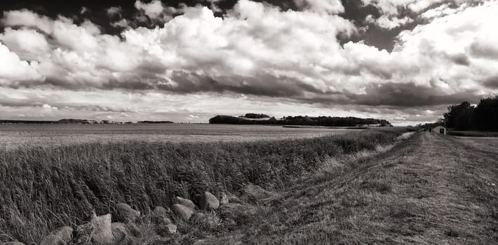 landscape near Groß Zicker, Ruegen Island on the Greifswalder Bodden