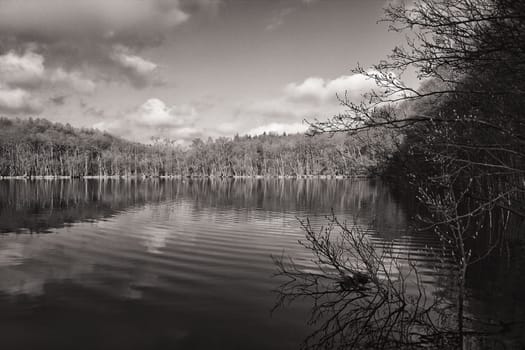 lake Herthasee in the Jasmund National Park, Ruegen island, germany