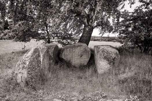 stone tomb under birch, island of Ruegen