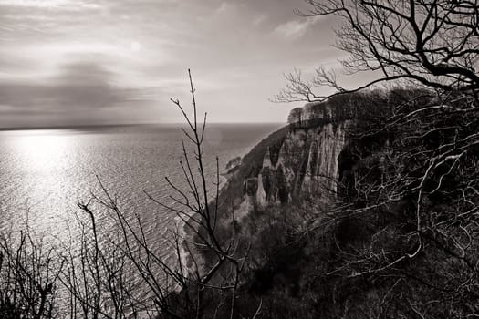 Chalk coast in the Jasmund National Park, Ruegen island