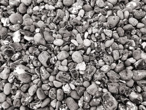 Chalk coast in the Jasmund National Park, Ruegen island