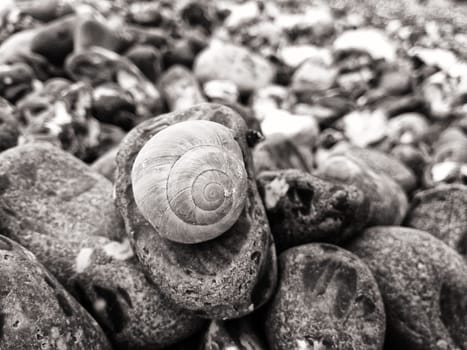 Chalk coast in the Jasmund National Park, Ruegen island
