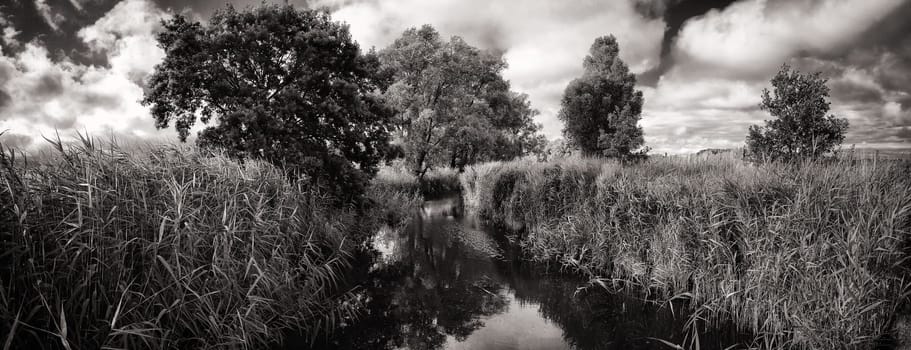 Ruegen island, Mönchgut landscape near Lobbe