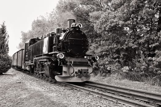 Rügen small train "Rasender Roland"", island of Rügen"