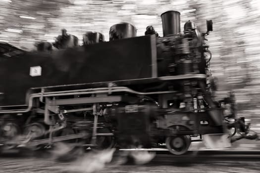 Rügen small train "Rasender Roland"", island of Rügen"