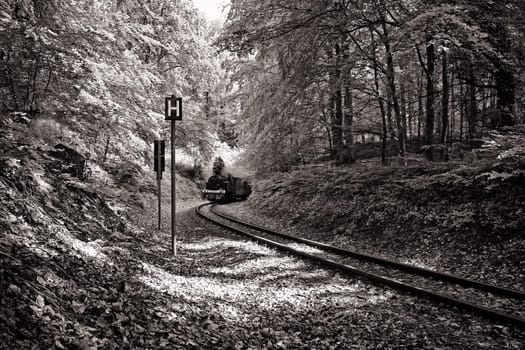 Rügen small train "Rasender Roland"", island of Rügen"