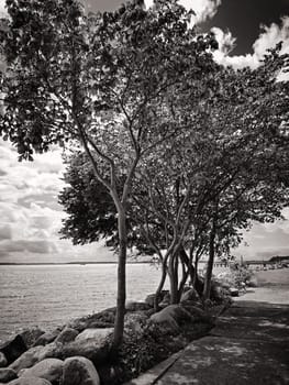 Sassnitz, Mecklenburg Baltic Sea Coast, Ruegen Island